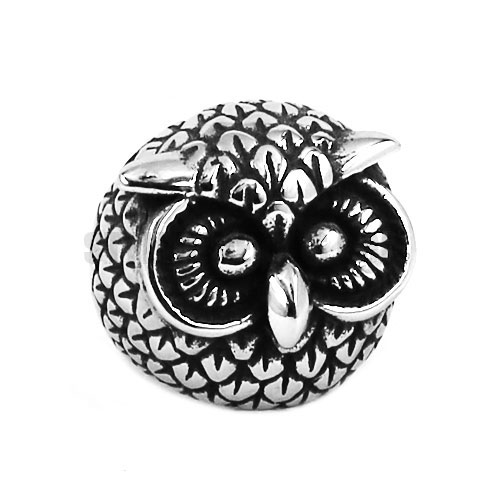 Gothic Stainless Steel Silver Owl Ring SWR0606 - Click Image to Close